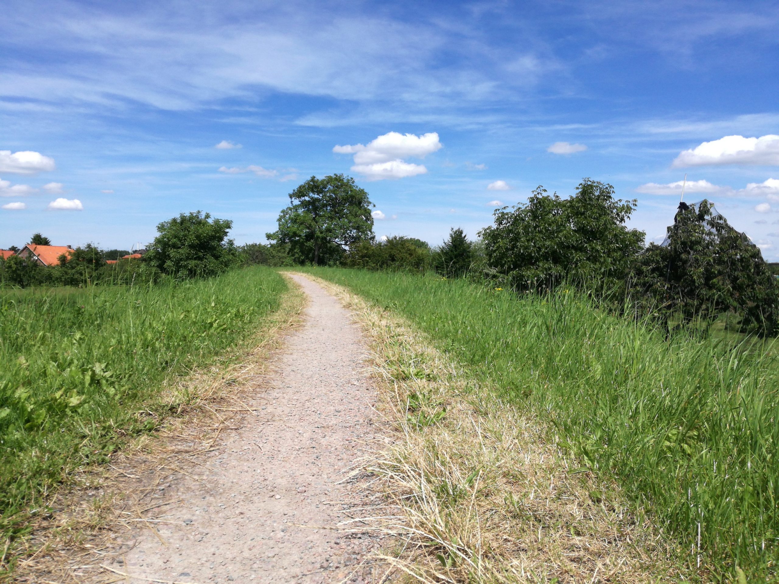 Deichkrone des Estedeiches, ständiger Begleiter auf dem Estewanderweg
