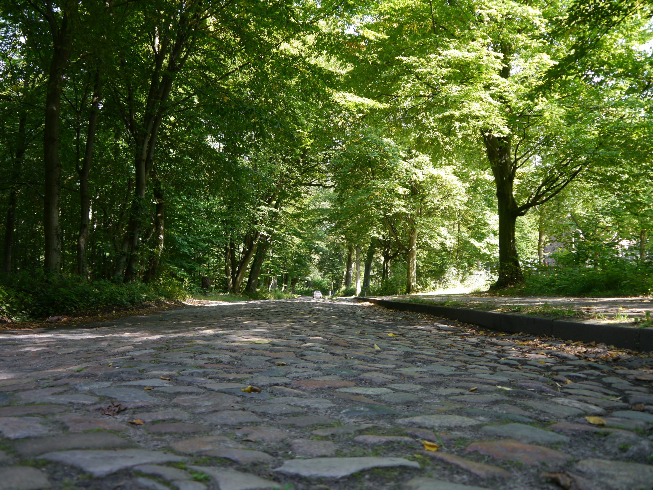 Altes Kopfsteinpflaster führt langsam in den Wohldorfer Wald