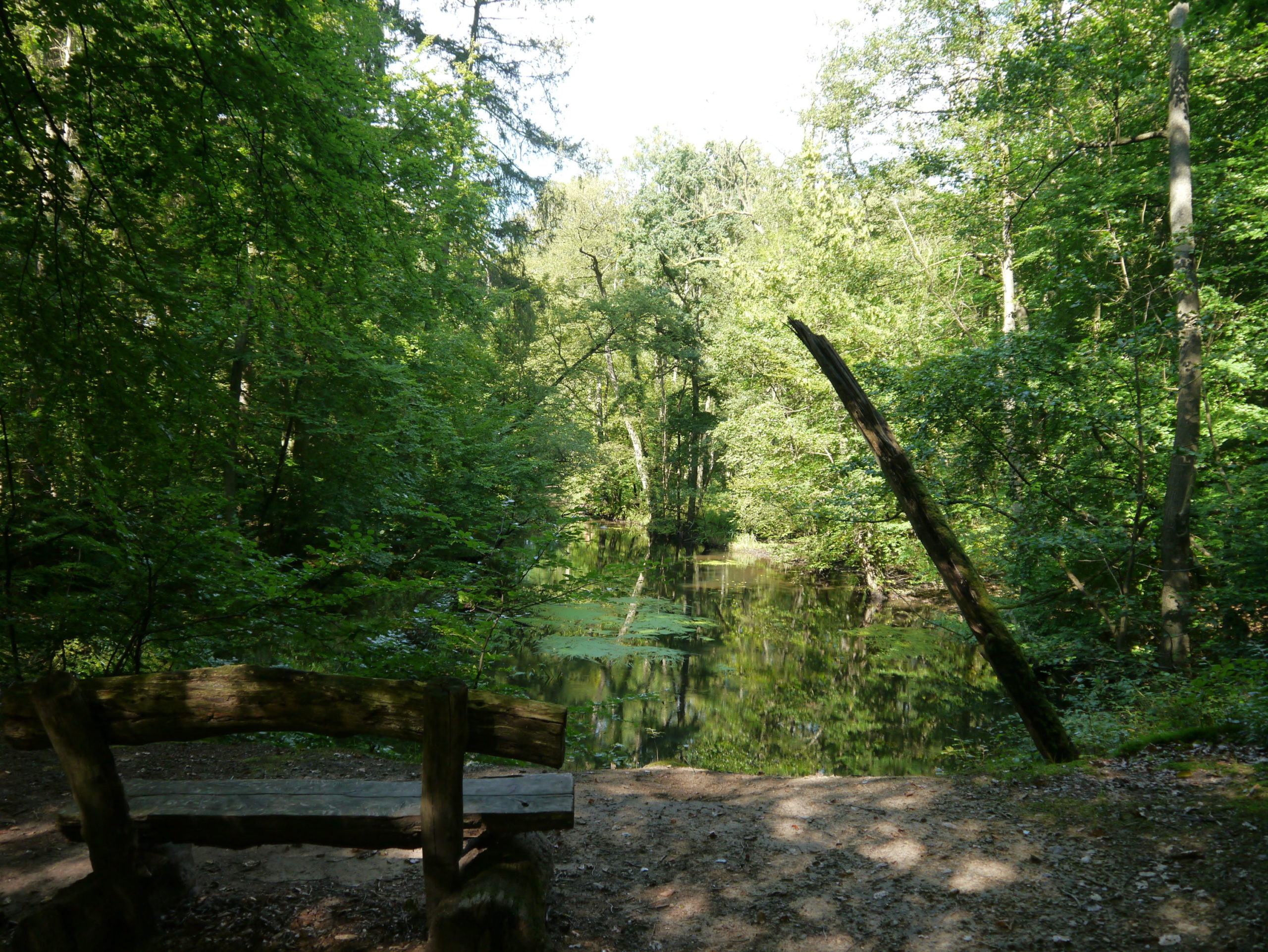 Eine der schönsten Bänke für eine Pause seit langem