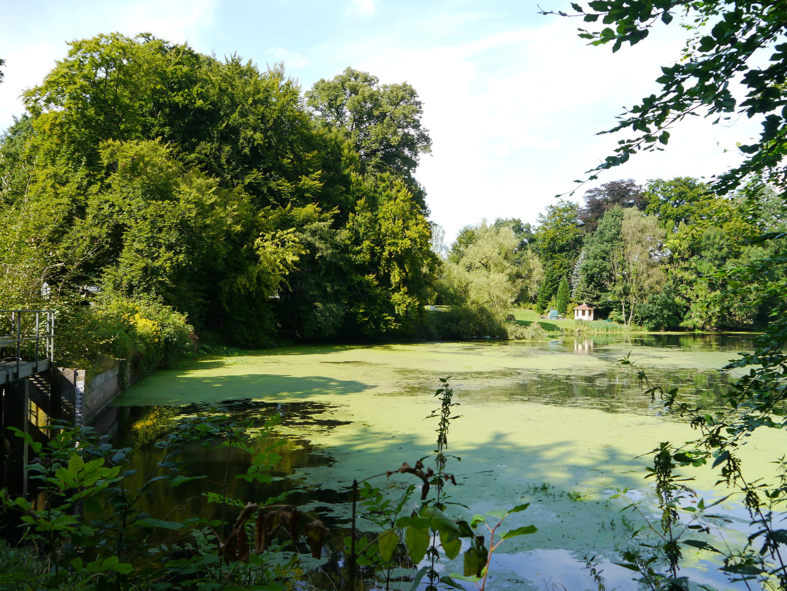 Mühlteich der Kupfermühle