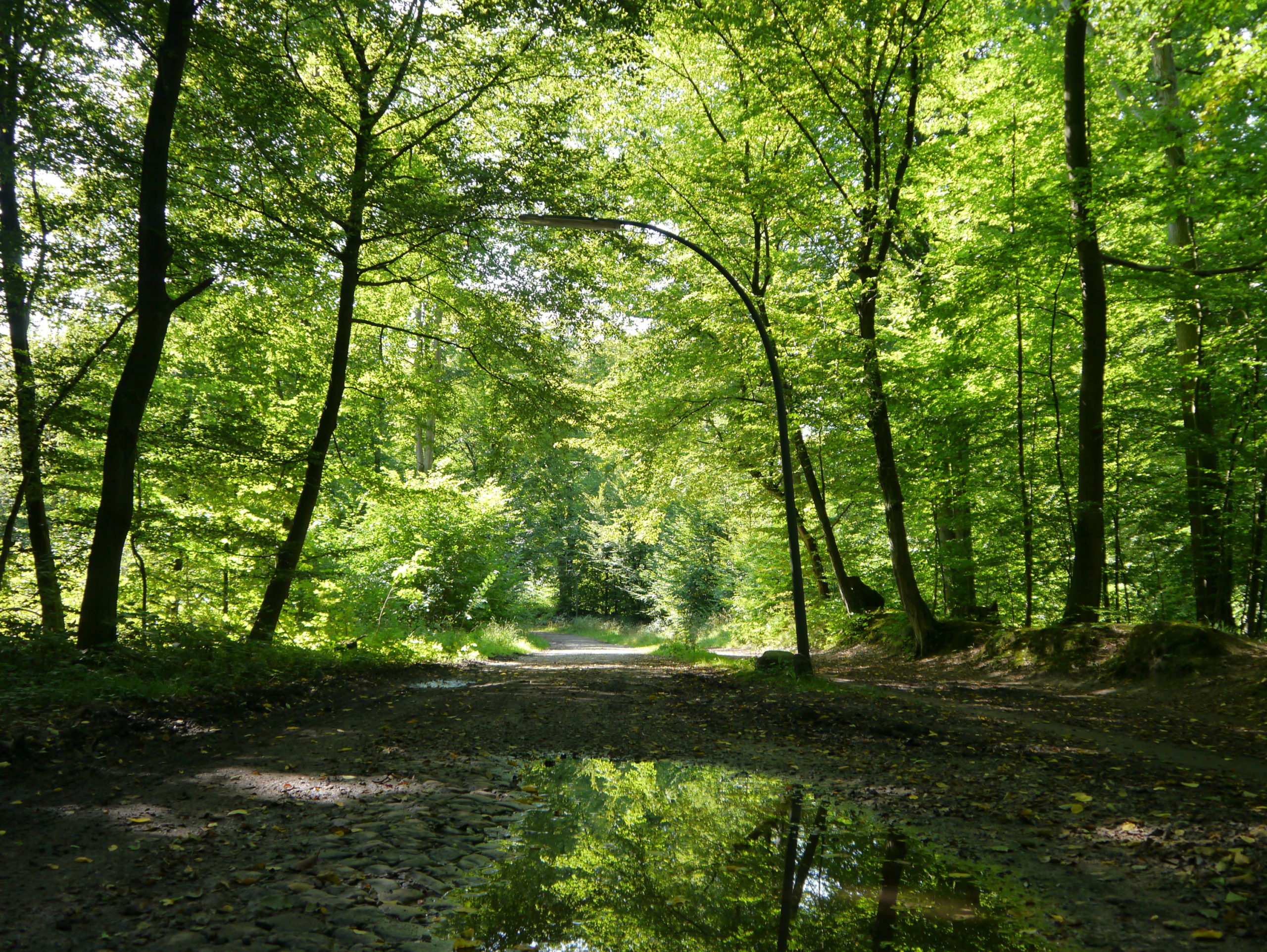 Natur vs. Kopfsteinpflaster