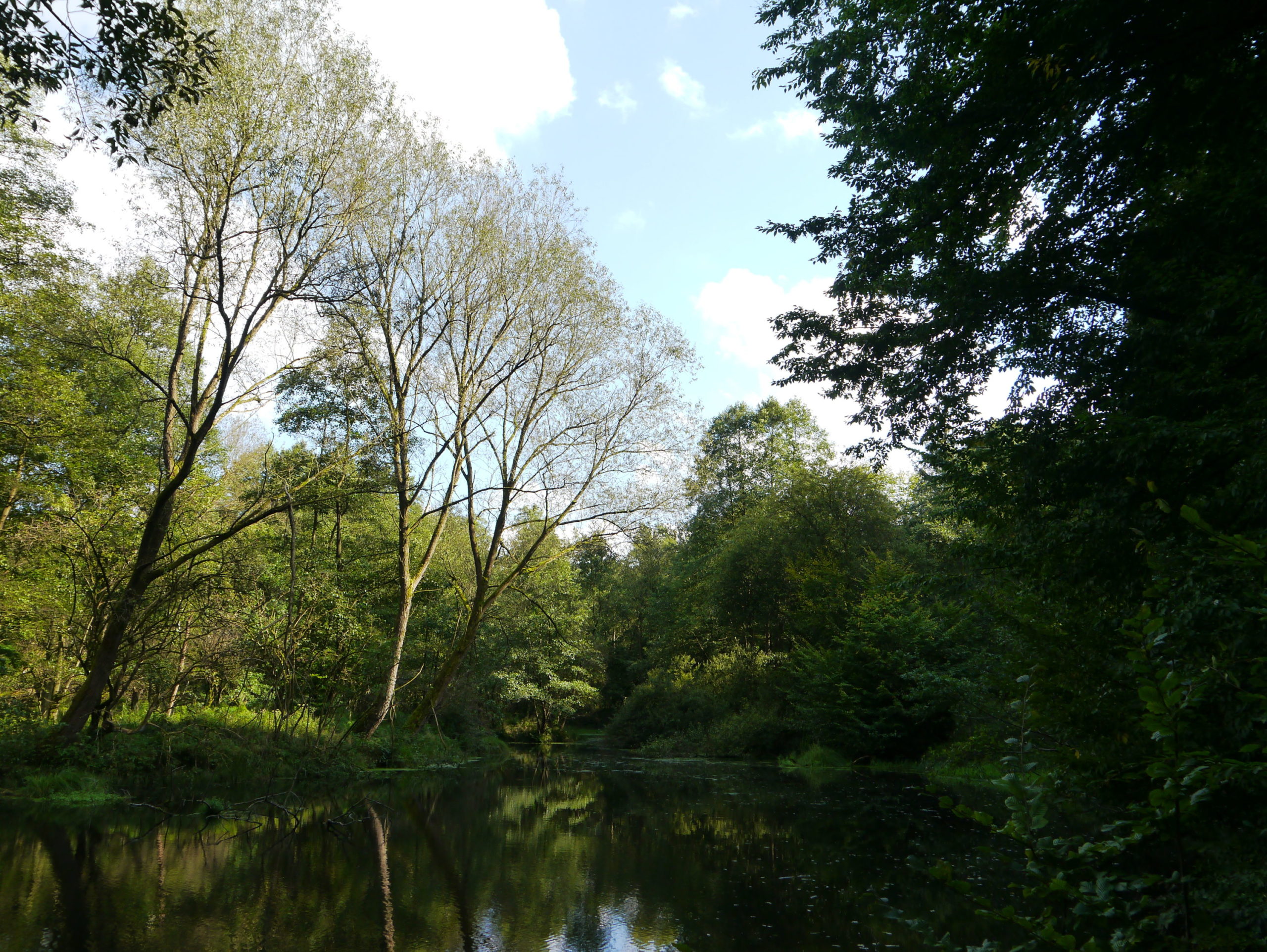 Ein "Pausenteich"