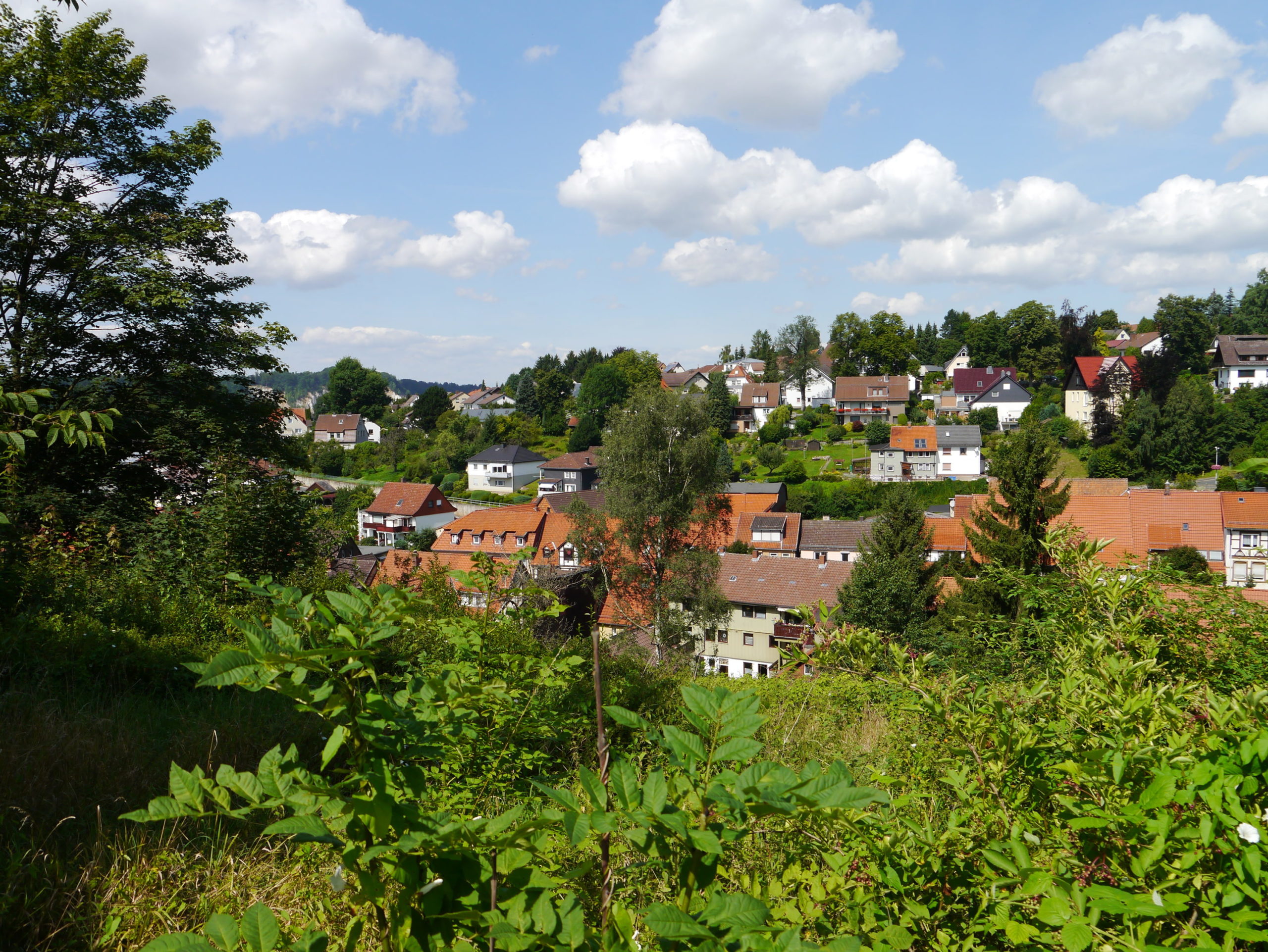 Blick auf Osterode am Harz