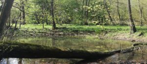 Alsterwanderweg Teaser